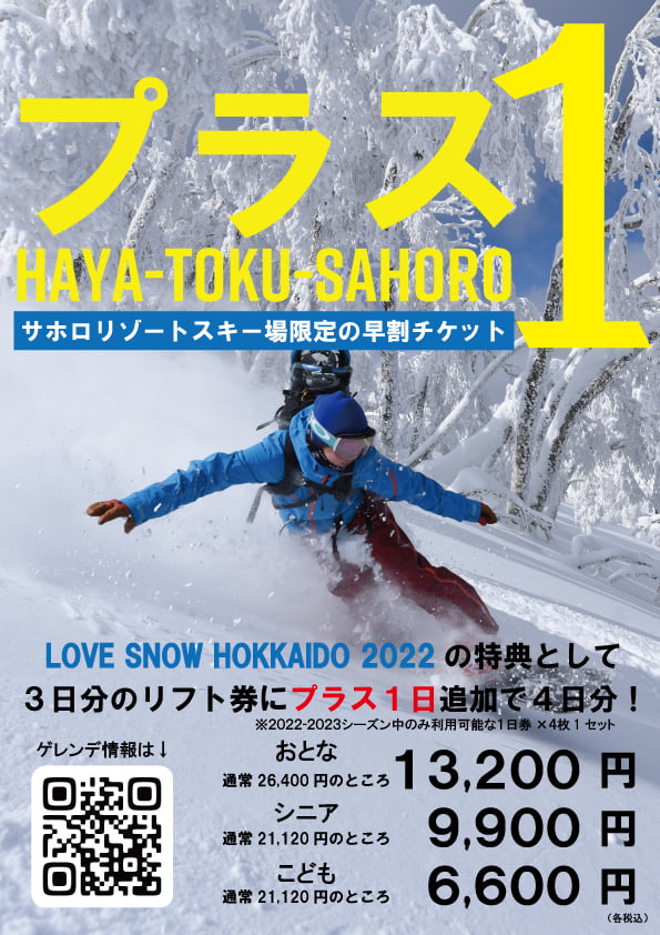 施設利用券 サホロ スキー場 リフト券 1日券2枚 ルスツ ニセコ 北海道 